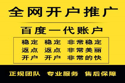 SEM推广策略：成功案例解析与效果评估